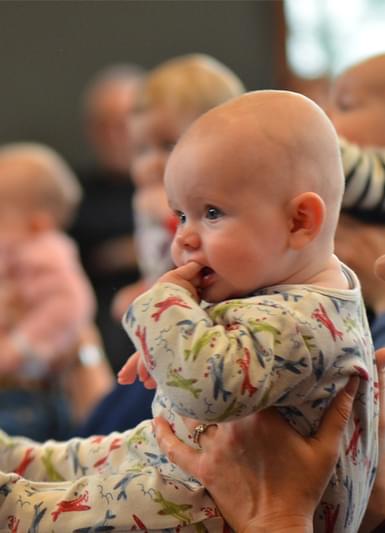 A baby is held up by their parent, with other babies in the background.