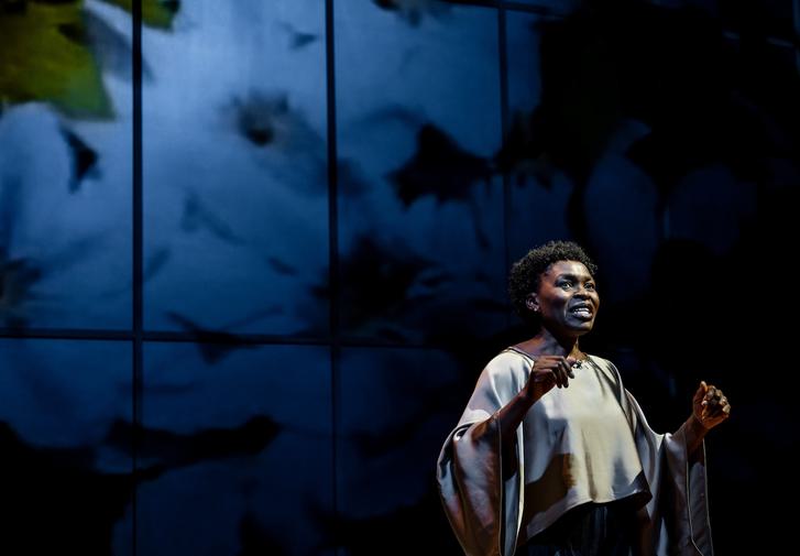 Rakie, wearing a silver-coloured, flowing blouse and wide-legged dark trousers is looking out towards the audience talking animatedly with her hands out in front of her. Projected onto the wall behind her we can see a garden full of flowers.