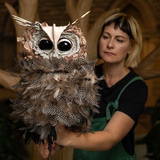 An actress stares intently as she controls an owl puppet. The puppet has large black eyes and a feathered front, with large ears.