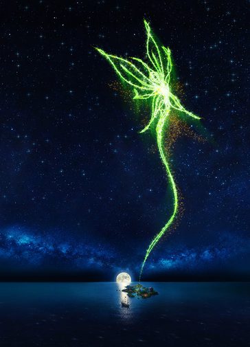 A vast expanse of dark blue sea and a deep blue night sky filled with stars. There is a singular island in the water, with the moon rising from the horizon behind it and a boat sailing past. From the island, a sparkling green outline of a fairy is bursting across the sky, leaving a brilliant trail of glitter.