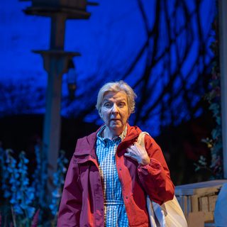 A woman with short, blonde hair stands with a worried expression at twilight. She wears a checked blue and white dress, a red anorak and a lilac tote bag. Behind her is a garden, with flowers, a bench and a bird box.
