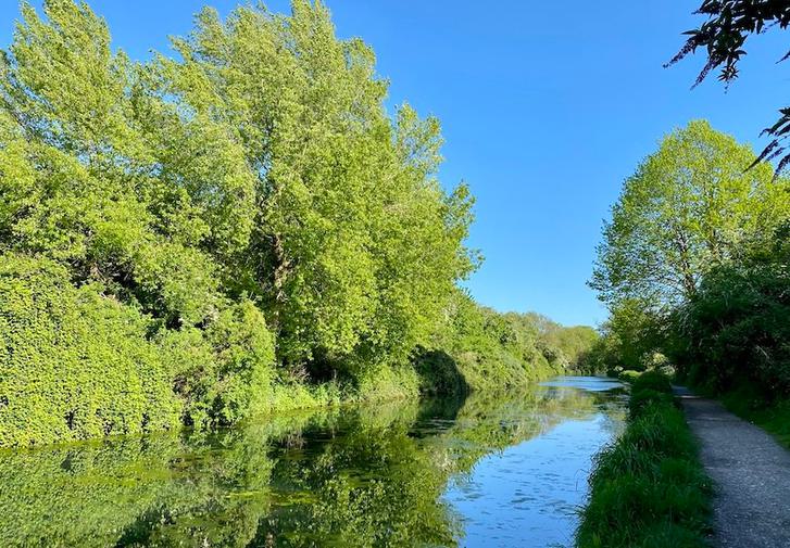 Blue skies, tall green trees reflecting in the water of the canal. A towpath runs along the side of the picture.