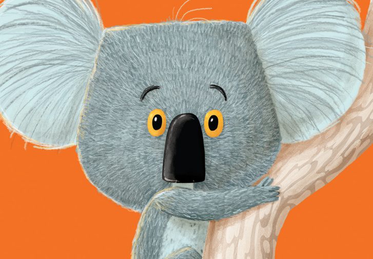 An illustration of an adorable little grey koala with an oversized head and huge ears, looking straight ahead with wide eyes, clinging onto a tree. The background is a joyful bright orange and a couple of green leaves hang down from the top of the image.