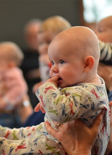 A baby is held up by their parent, with other babies in the background.
